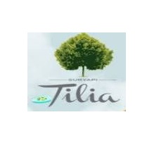 sur yapı tilia konutları